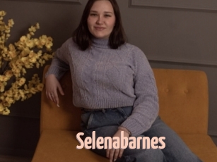 Selenabarnes