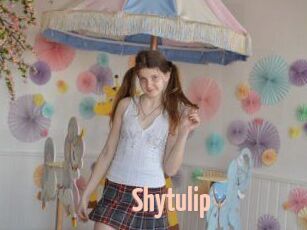 Shytulip