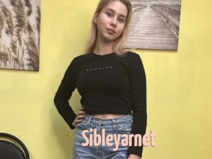 Sibleyarnet