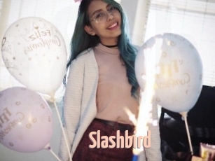 Slashbird