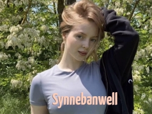Synnebanwell