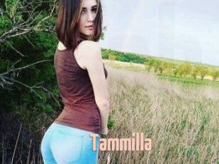 Tammilla_