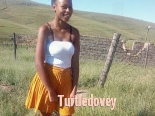 Turtledovey