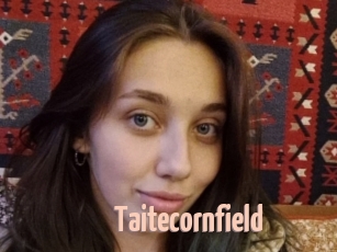 Taitecornfield