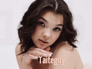 Taiteguy