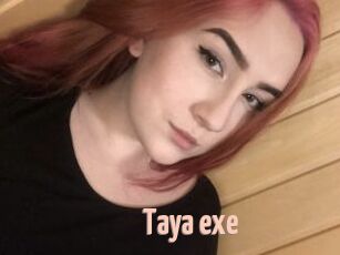 Taya_exe