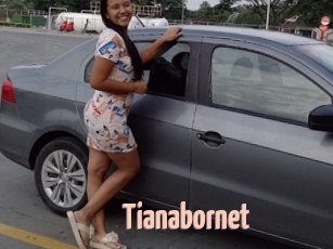 Tianabornet