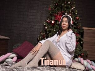Tinamun
