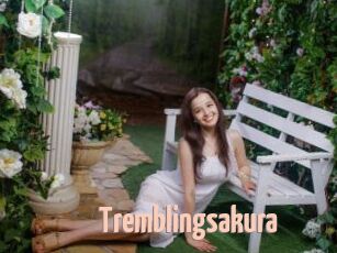 Tremblingsakura