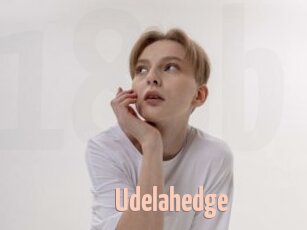 Udelahedge