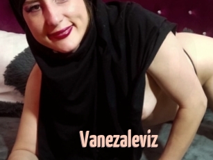 Vanezaleviz