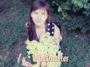 Wildcumster