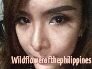 Wildflowerofthephilippines