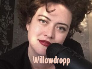 Willowdropp