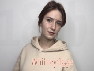 Whitneyfigge