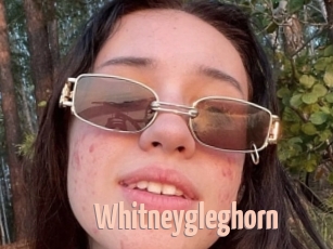 Whitneygleghorn