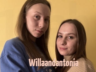 Willaandantonia