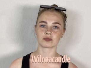 Wilonacaudle