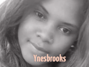 Ynesbrooks