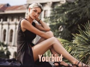 Yourbird