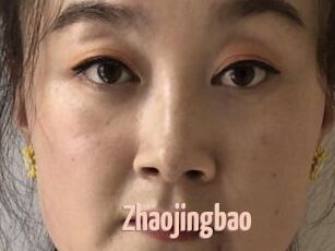 Zhaojingbao