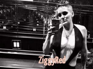 ZiggyRed
